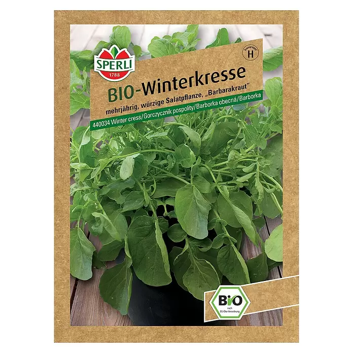 Sperli Saatgut BIO Winterkresse - Barbarea vulgaris - Vorderansicht