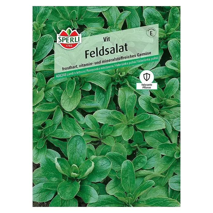 Sperli Salatsamen Feldsalat - Valerianella locusta, Erntezeit: Ganzjährig - Vorderansicht