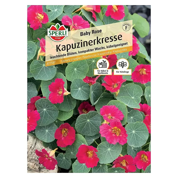 Sperli Kräutersamen Kapuzinerkresse - Tropaeolum minus, Saatzeit: April - Vorderansicht