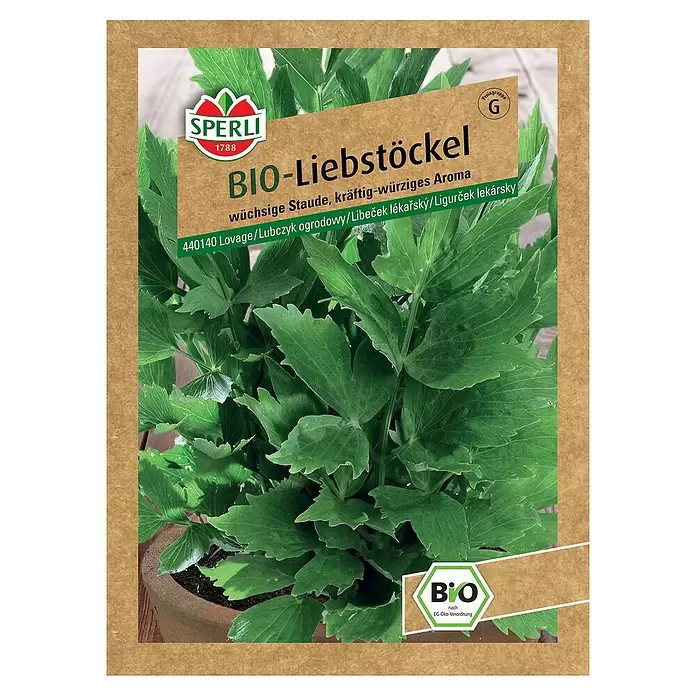 Sperli Kräutersamen BIO Liebstöckel - Levisticum officinale, Erntezeit: Juni - Vorderansicht