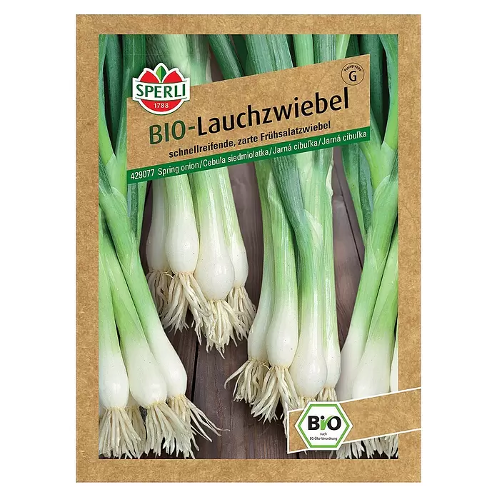 Sperli Gemüsesamen BIO Lauchzwiebel - Allium cepa, Erntezeit: April - Vorderansicht