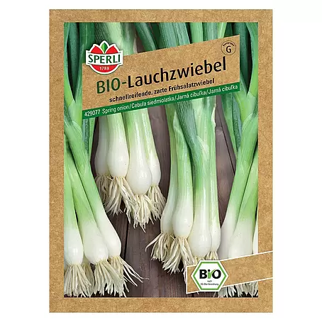 Sperli  Gemüsesamen BIO Lauchzwiebel