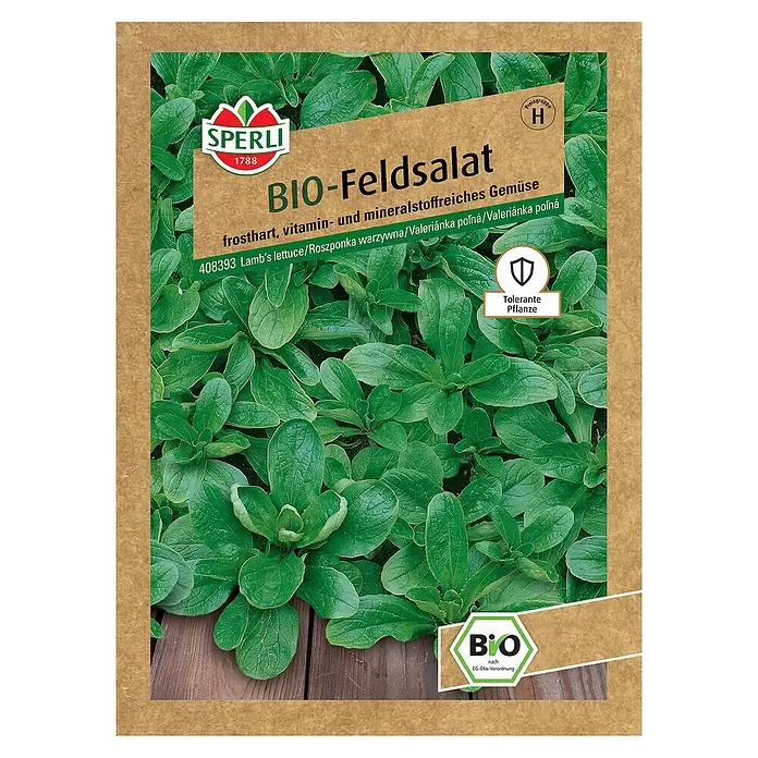Sperli Salatsamen BIO Feldsalat - Valerianella locusta, Erntezeit: Ganzjährig - Vorderansicht