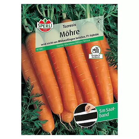 Sperli  Gemüsesamen Möhre