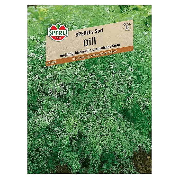 Sperli Kräutersamen Dill - Anethum graveolens var. hortorum, Saatzeit: März, Erntezeit: Ganzjährig - Vorderansicht