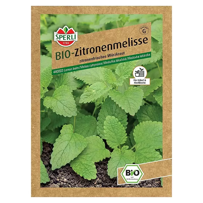 Sperli Kräutersamen BIO Zitronenmelisse - Melissa officinalis, Saatzeit: Mai, Erntezeit: Ganzjährig - Vorderansicht