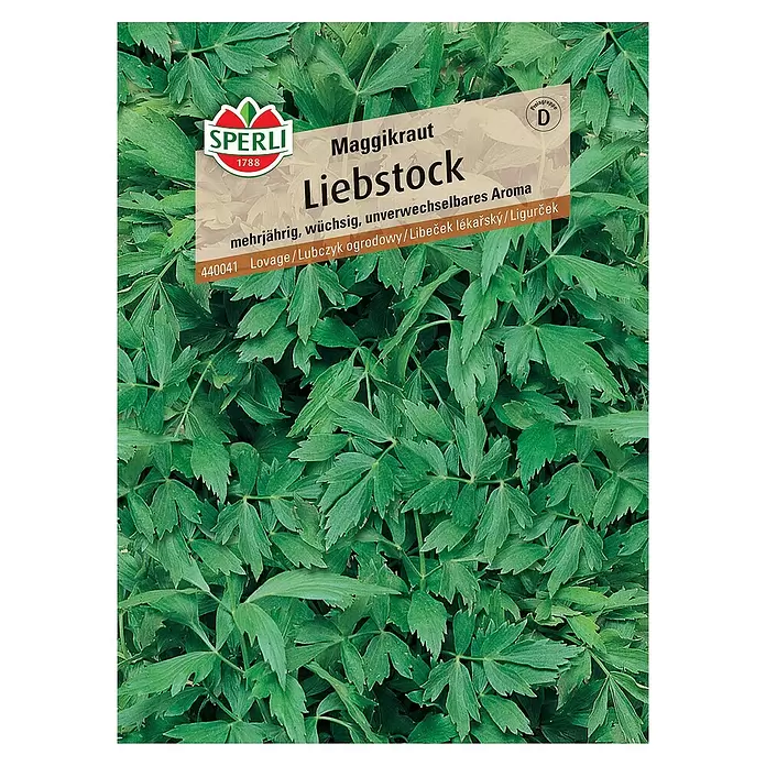 Sperli Kräutersamen Liebstock - Levisticum officinale, Saatzeit: April, Erntezeit: Mai - Vorderansicht