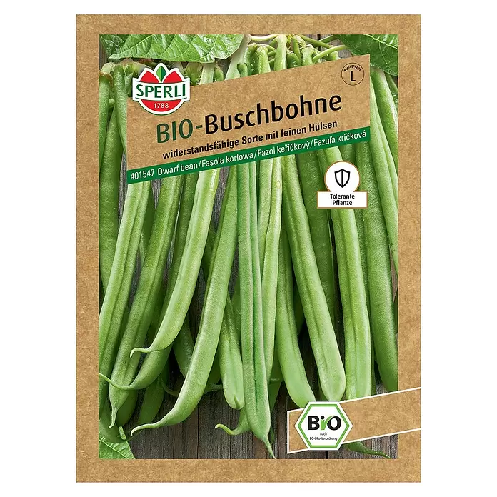 Sperli Gemüsesamen BIO Buschbohne - Phaseolus vulgaris var. nanus, Erntezeit: Juli - Vorderansicht