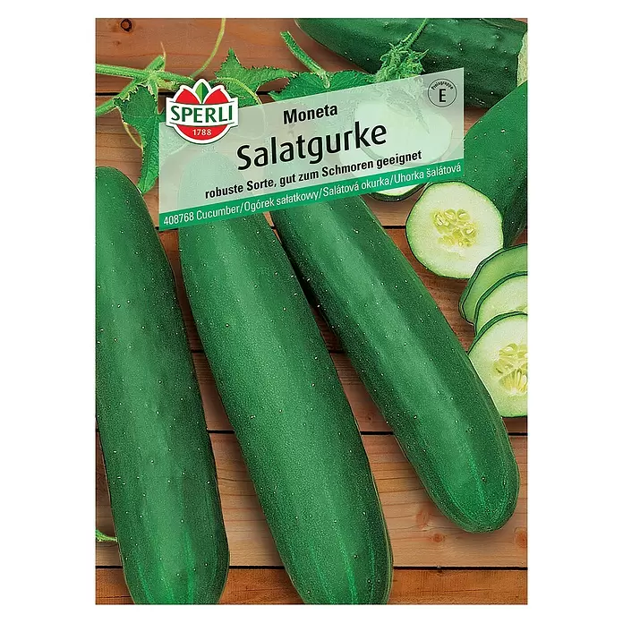 Sperli Gemüsesamen Salatgurke - Moneta, Cucumis sativus, Erntezeit: Juli - Vorderansicht