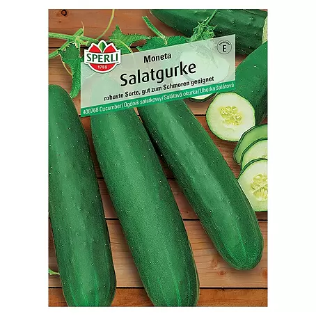 Sperli  Gemüsesamen Salatgurke
