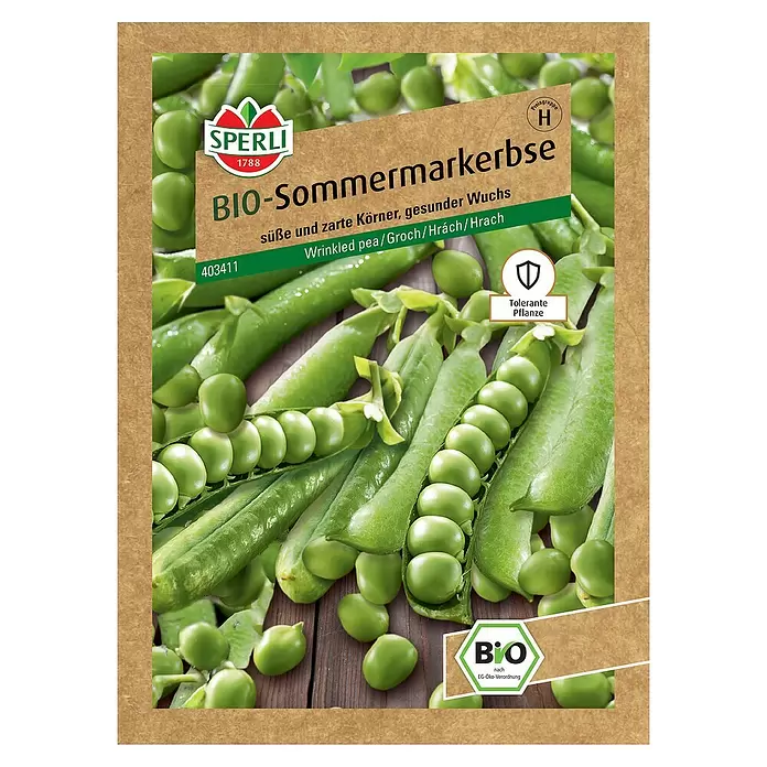 Sperli Gemüsesamen BIO Markerbse - Pisum sativum, Erntezeit: Juni - Vorderansicht