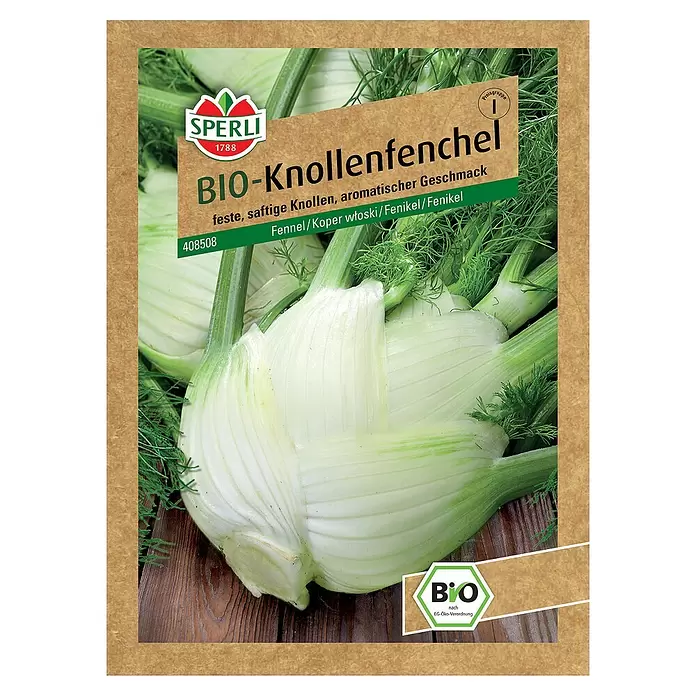 Sperli Gemüsesamen BIO Knollenfenchel - Foeniculum vulgare, Erntezeit: Juni - Vorderansicht