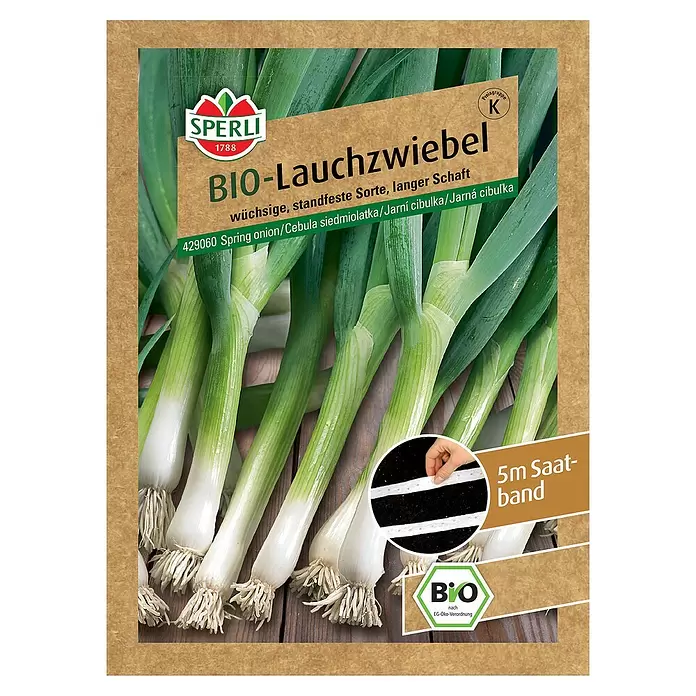 Sperli Gemüsesamen BIO Lauchzwiebel - Allium fistulosum, Erntezeit: Juni - Vorderansicht