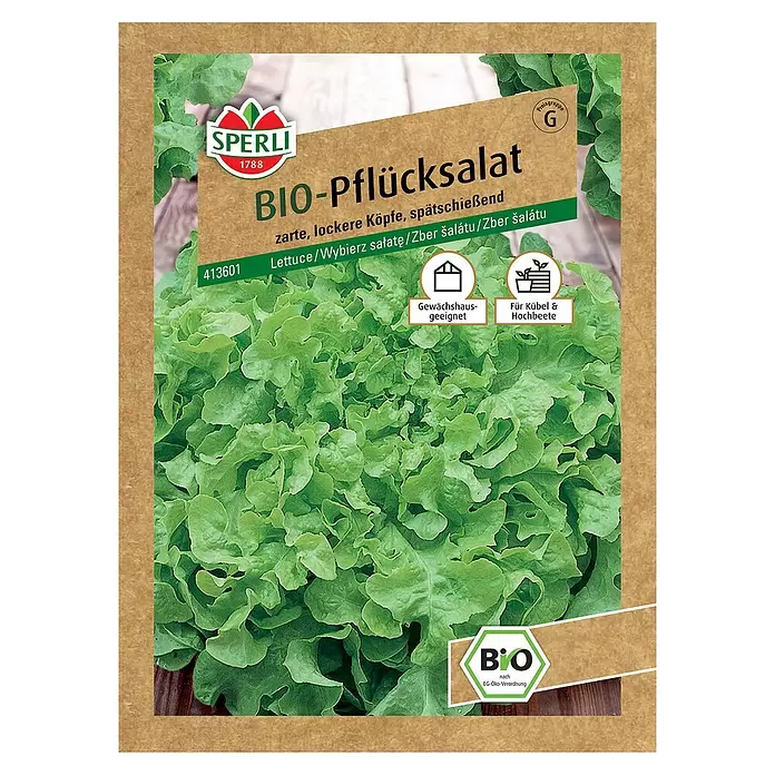 Sperli Salatsamen BIO Pflücksalat - Lactuca sativa var. crispa, Erntezeit: Mai - Vorderansicht