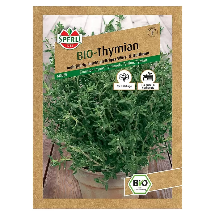 Sperli Kräutersamen BIO Thymian - Thymus vulgaris, Saatzeit: April, Erntezeit: Ganzjährig - Vorderansicht