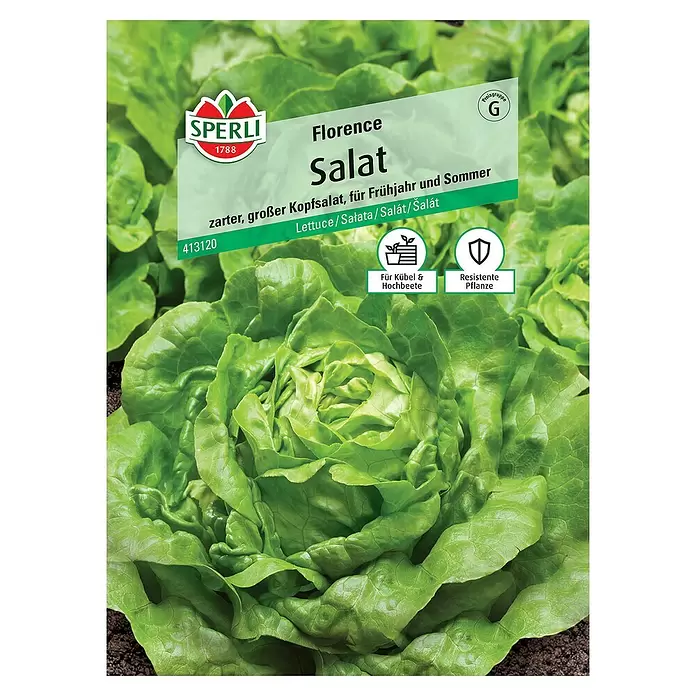 Sperli Salatsamen Salat - Lactuca sativa var. capitata, Erntezeit: Mai - Vorderansicht