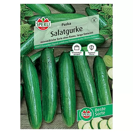 Sperli  Gemüsesamen Salatgurke