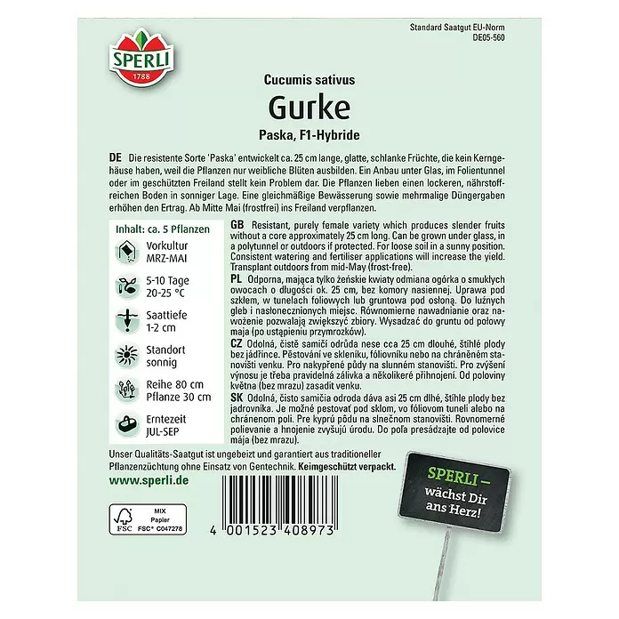 Sperli Gemüsesamen Salatgurke - Paska F1, Cucumis sativus, Erntezeit: Juli - Rückansicht