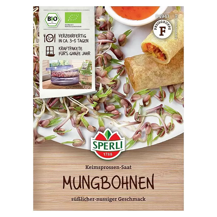 Sperli Saatgut Keimsprossen - Vigna radiata - Vorderansicht
