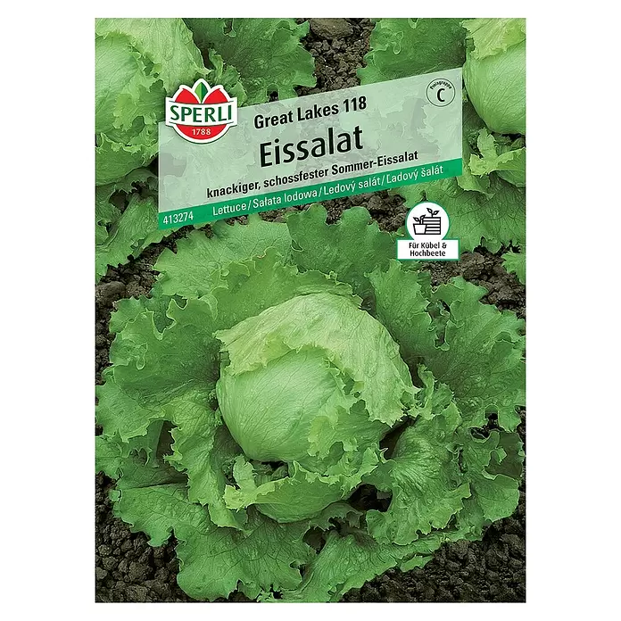 Sperli Salatsamen Eissalat - Lactuca sativa, Erntezeit: Juni - Vorderansicht
