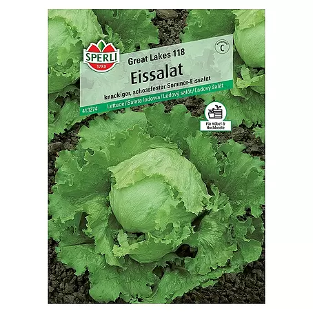 Sperli  Salatsamen Eissalat