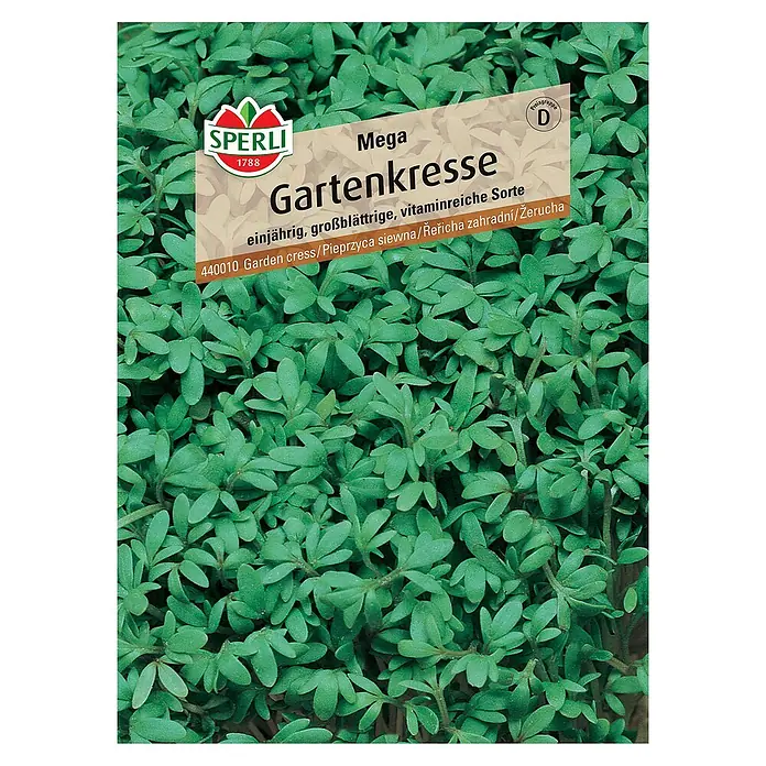 Sperli Saatgut Gartenkresse - Lepidium sativum - Vorderansicht