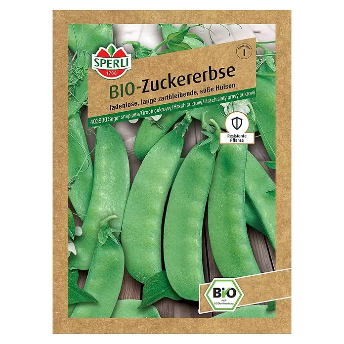 Sperli Gemüsesamen BIO Zuckererbse - Pisum sativum, Erntezeit: Juni - Vorderansicht