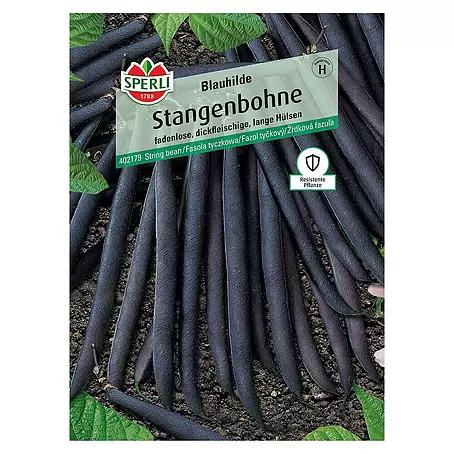 Sperli  Gemüsesamen Stangenbohne Blauhilde