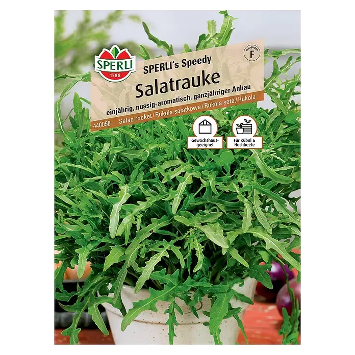 Sperli Salatsamen Salatrauke Speedy - Eruca sativa, Erntezeit: Ganzjährig - Vorderansicht