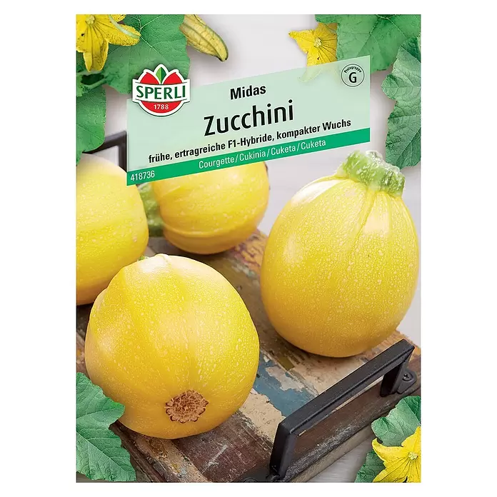 Sperli Gemüsesamen Zucchini Midas - Cucurbita pepo, Erntezeit: Juni - Vorderansicht