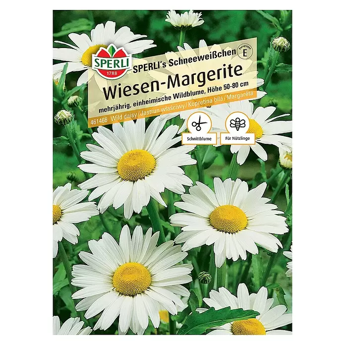 Sperli Blumensamen Wiesen-Margerite - Cosmos bipinnatus - Vorderansicht