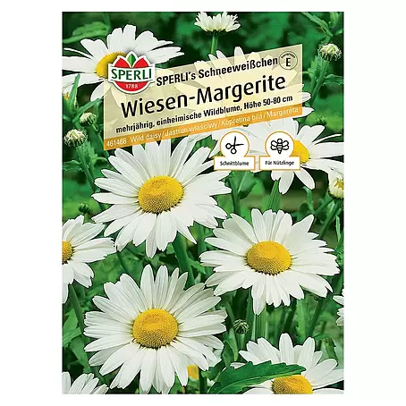 Sperli  Blumensamen Wiesen-Margerite