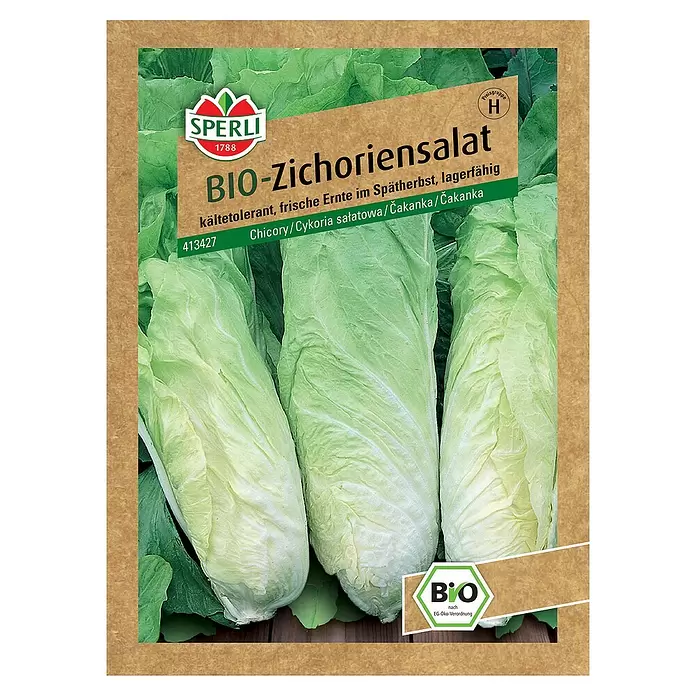 Sperli Salatsamen BIO Zichoriensalat - Chichorium intybus, Erntezeit: Oktober - Vorderansicht