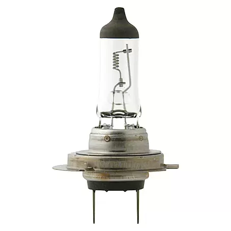 Philips  Halogeenkoplamp H7 MasterDuty 70W
