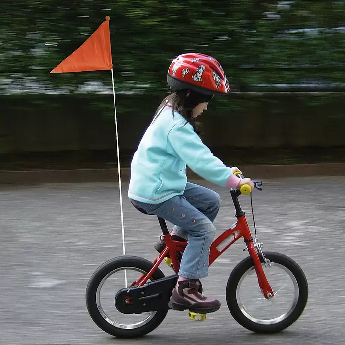 Dresco Vlag voor de fiets - Oranje - Toepassingsvoorbeeld
