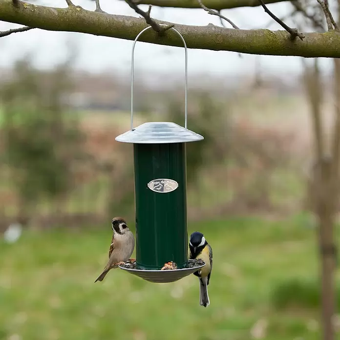 Esschert Design Silos za hranjenje ptica Best for Birds - Ø x V: 12,7 x 22,8 cm - Proizvod u upotrebi