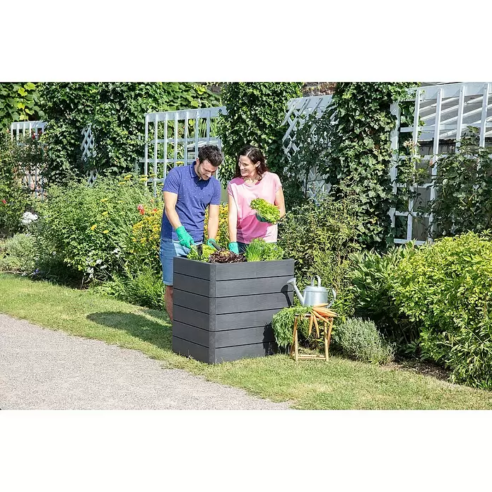 Garantia Hochbeet Ergo Quadro M Wood - Set - 60 x 80 x 75 cm, Kunststoff - Anwendungsbeispiel