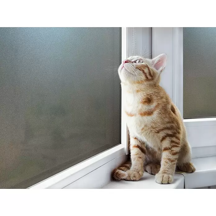 Lámina adhesiva al corte Sun Zarame - Ancho: 92 cm - Foto ambiente
