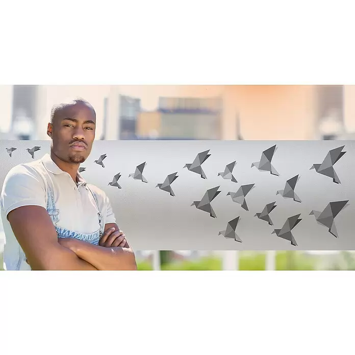 Lámina adhesiva Pájaros - 1,5 m x 46 cm, Gris - Foto ambiente