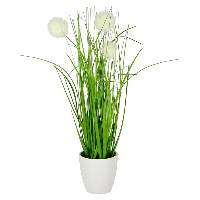 Kunstpflanze Gras - Höhe: 36 cm, Kunststoff - Vorderansicht