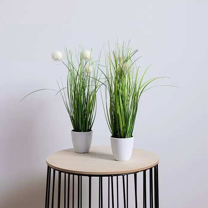 Kunstpflanze Gras - Höhe: 36 cm, Kunststoff - Stimmungsaufnahme
