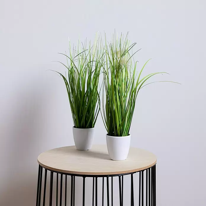 Kunstpflanze Gras - Höhe: 36 cm, Kunststoff - Stimmungsaufnahme