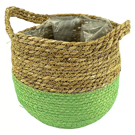 Pflanzkorb Seegras