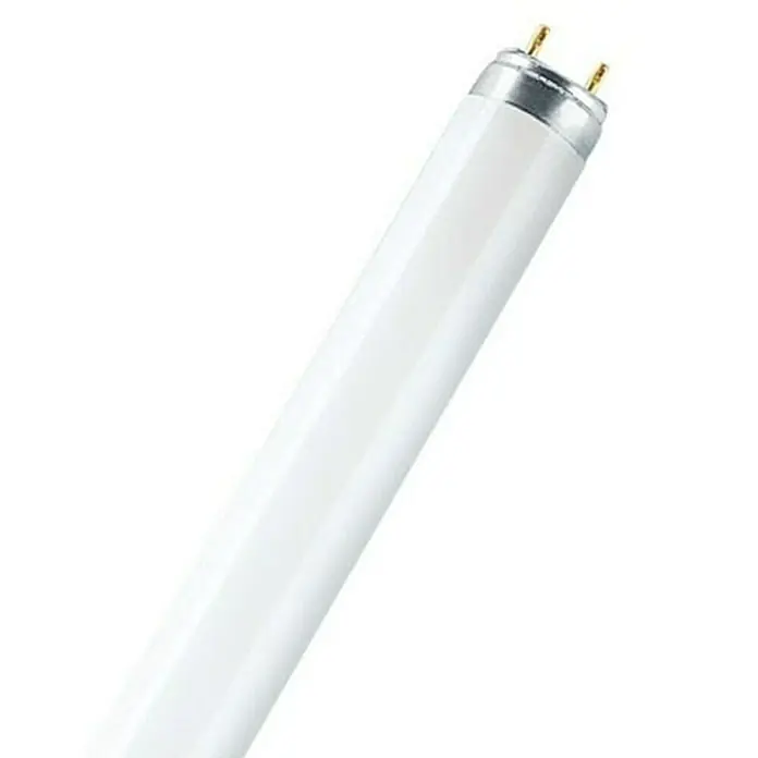 Osram Tubo fluorescente Lumilux - T8, Azul, 18 W, Largo: 59 cm - Primer plano