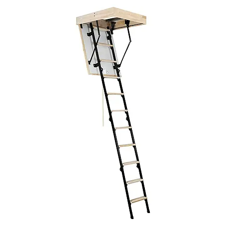 Meisterholz  Tavanske stepenice Mini