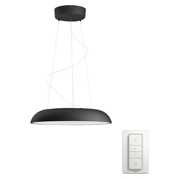 Philips Hue Lámpara colgante LED redonda Amaze - 25 W, Ø x Al: 43,4 x 150 cm, Negro, Negro - Vista frontal