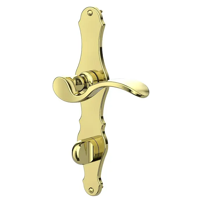 Diamond Doors Classic Zimmertürgarnitur WC Nevada - Messing, Poliert, Türstärke: 40 mm - 45 mm, Langschild, Schlitzkopf/Olive SK/OL - Diagonale Ansicht