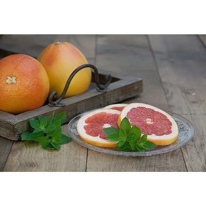 Piardino Grapefruitminze - Mentha suaveolens x piperita - Stimmungsaufnahme