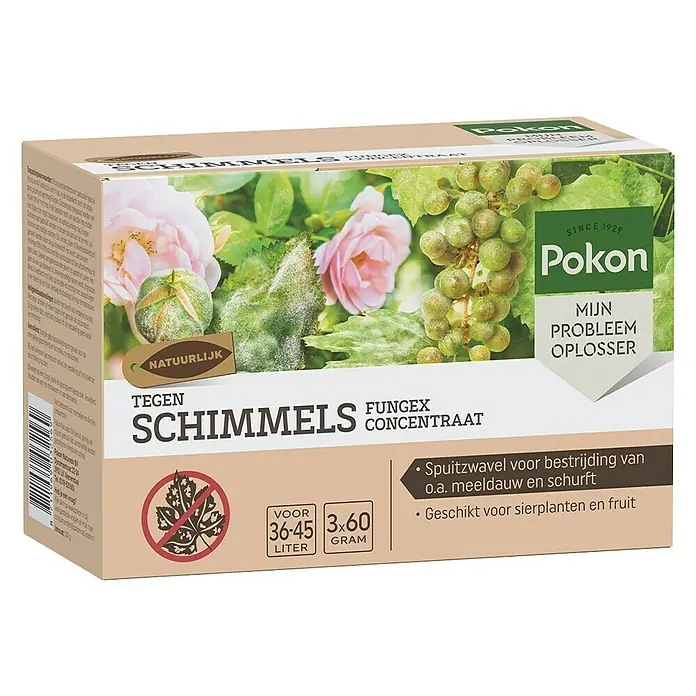 Pokon Schimmelbescherming Fungex Concentraat - 3 stk. - Diagonaal zicht
