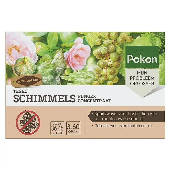 Pokon Schimmelbescherming Fungex Concentraat - 3 stk. - Vooraanzicht